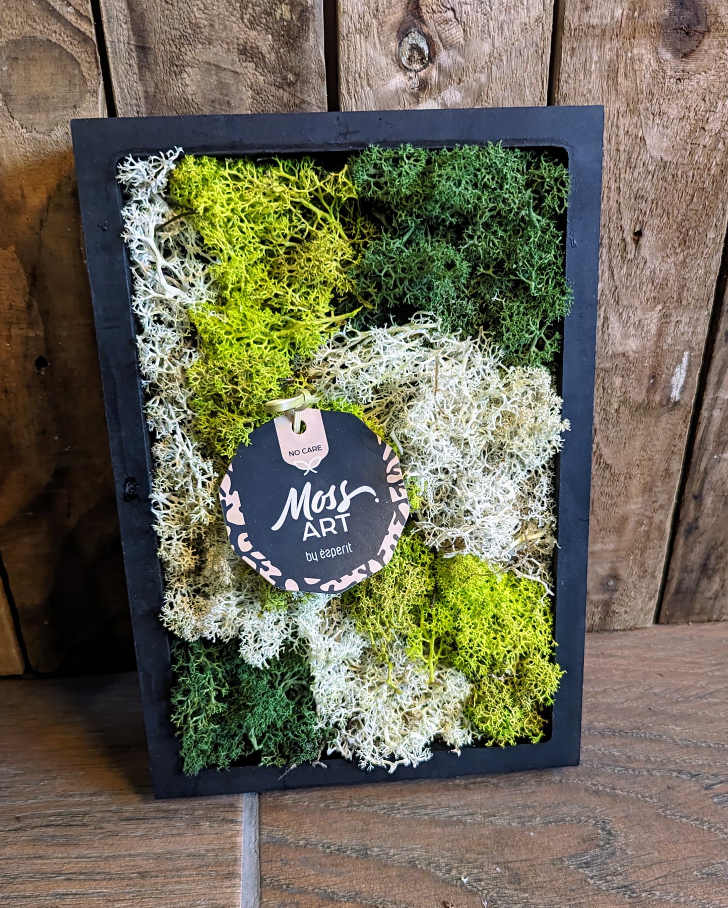 Moss Art Frame