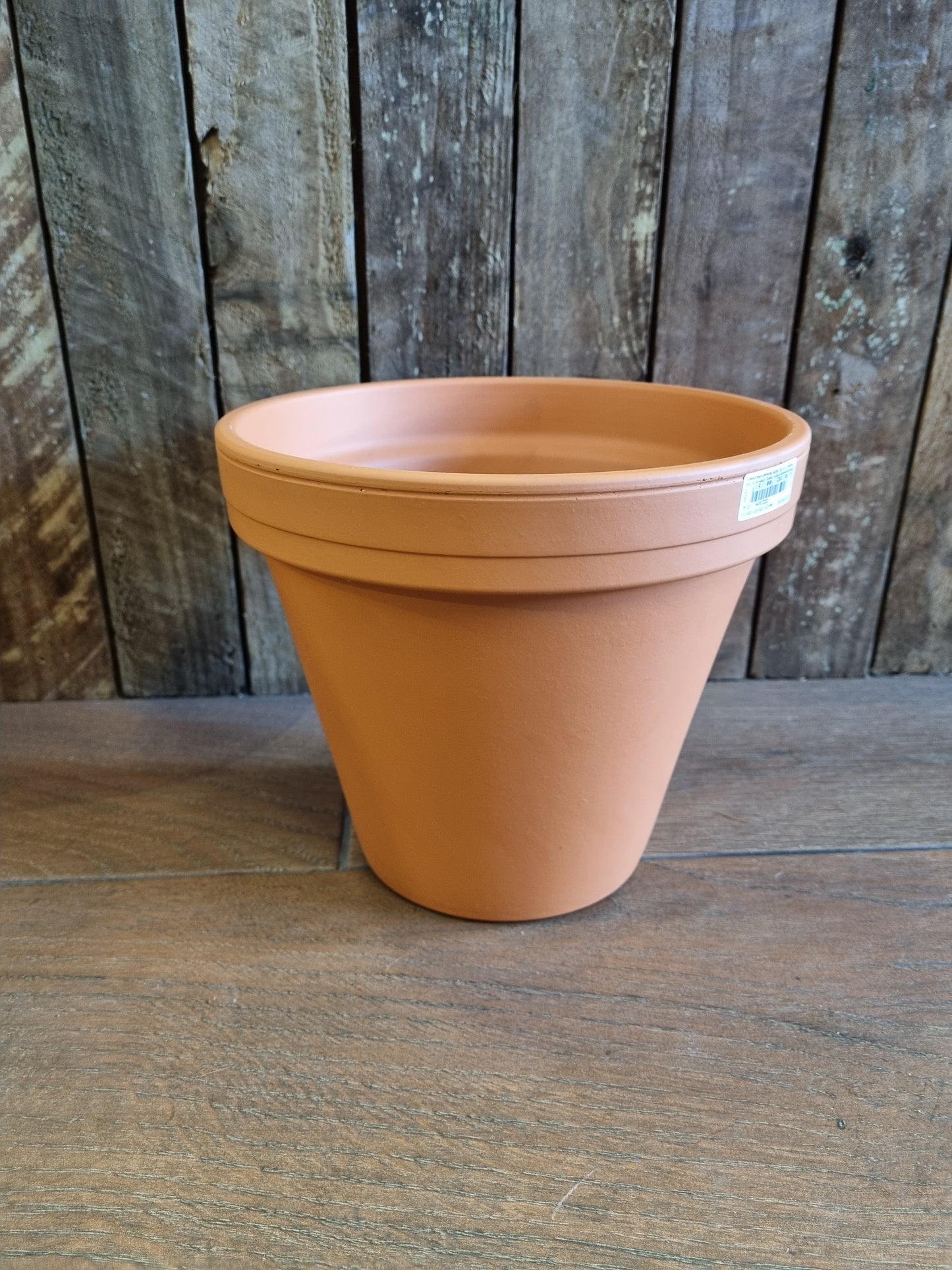 Terracotta 22cm Pot