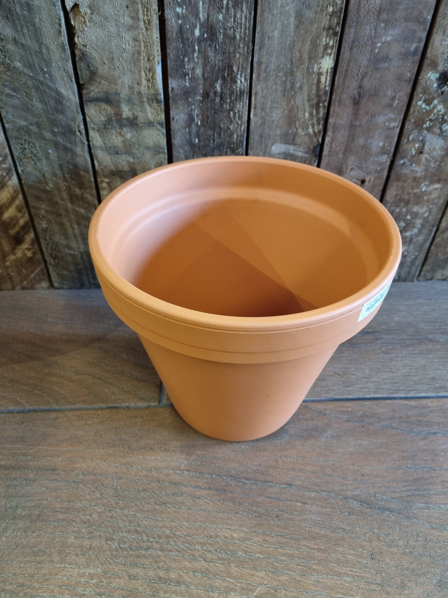 Terracotta 22cm Pot