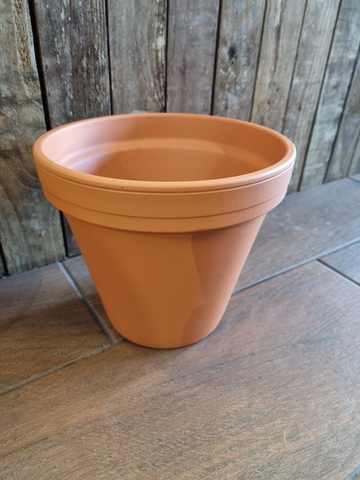 Terracotta 22cm Pot